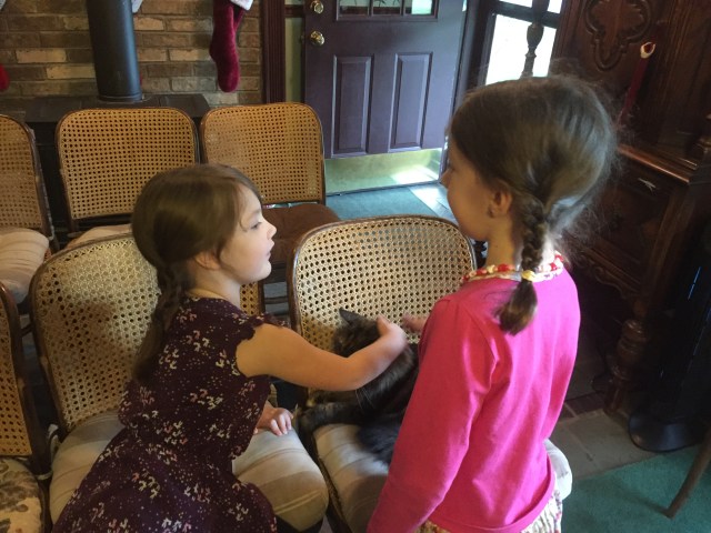 Photo Dec 15, 15 20 00