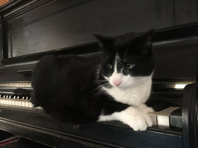 photo-sep-12-11-53-41