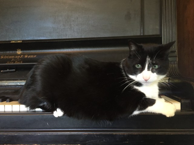 photo-sep-12-11-55-06