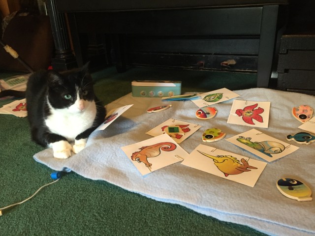 photo-sep-13-16-00-00