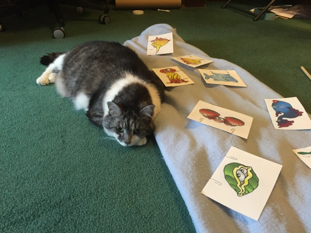 photo-sep-14-17-50-10