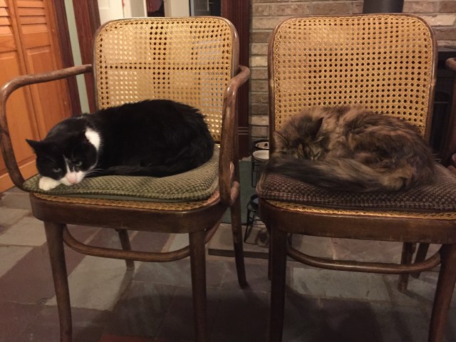 photo-sep-15-19-36-14